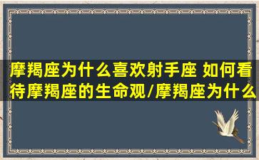 摩羯座为什么喜欢射手座 如何看待摩羯座的生命观/摩羯座为什么喜欢射手座 如何看待摩羯座的生命观-我的网站